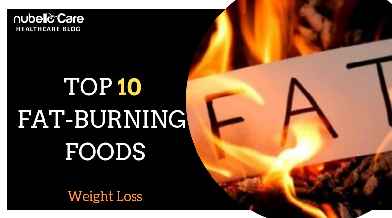 fat burning foods top 10